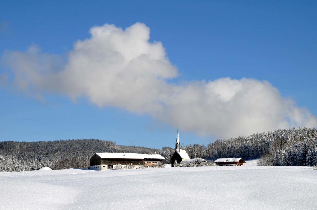 Aktivhotel & Gasthof Schmelz Ihr Urlaubs Hotel In Inzell Mit Wellness Hallenbad, Alpensauna & Dampfbad 外观 照片